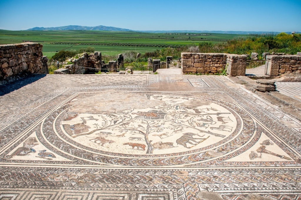 A US-backed project completes preservation of mosaic in Roman city of Volubilis