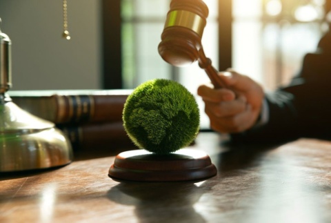 How Lawyers Can Help Communities Prepare for Disaster: An Interview with Verna Williams – Non Profit News