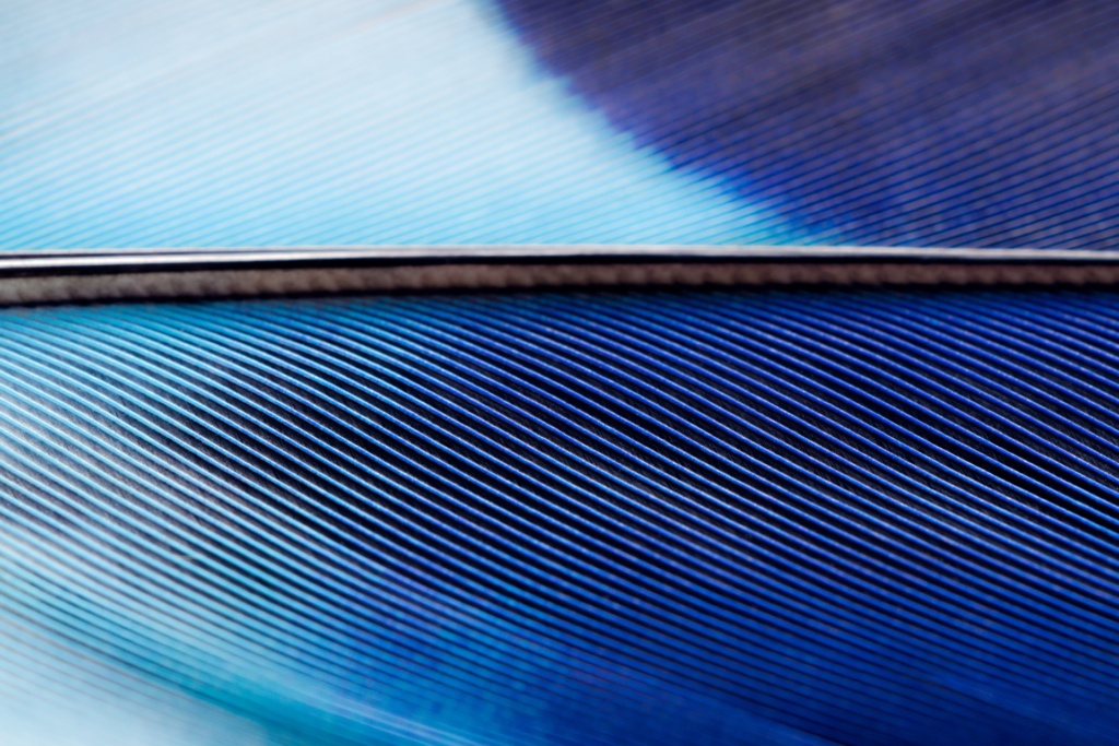 SAP Shapes the Future of Data-Driven Business SAP Shapes the Future of Data-Driven Business