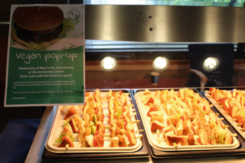 The vital role of organizations in protecting climate and nature