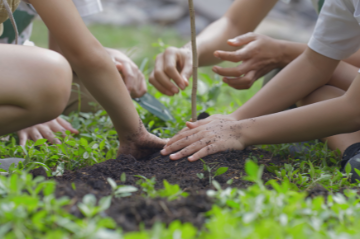 Restoring land, building resilience, and protecting public health