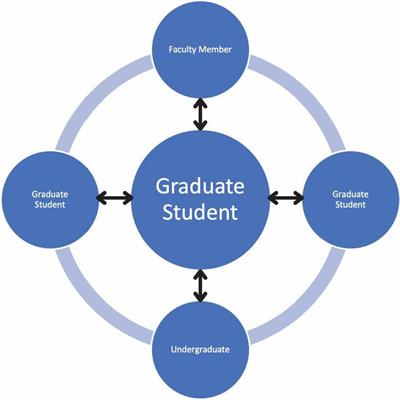 Supporting Historically Underrepresented Groups in STEM Higher Education: The Promise of Structured Mentoring Networks