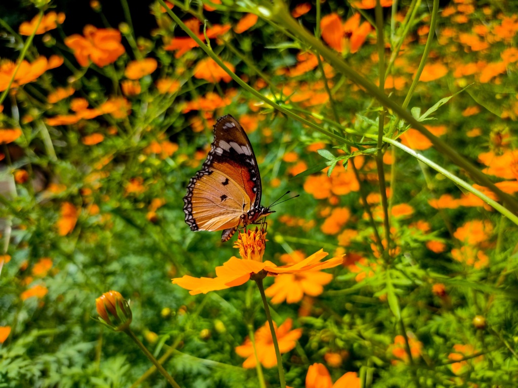 The UK Environment Act – what’s happening now? The UK Environment Act – what’s happening now?