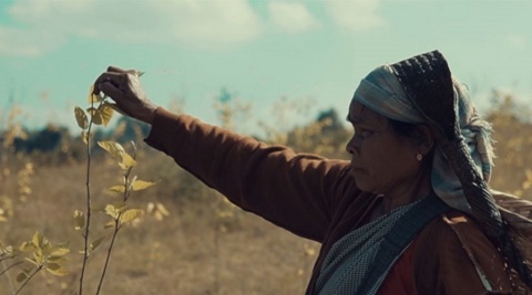 spotlight on restoring and protecting ‘Our Land. Our Future’