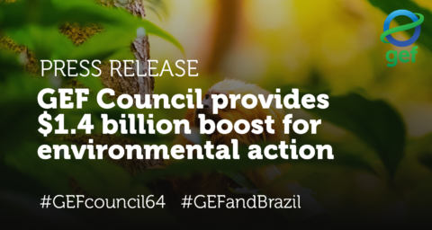 GEF Council provides .4 billion boost for environmental action