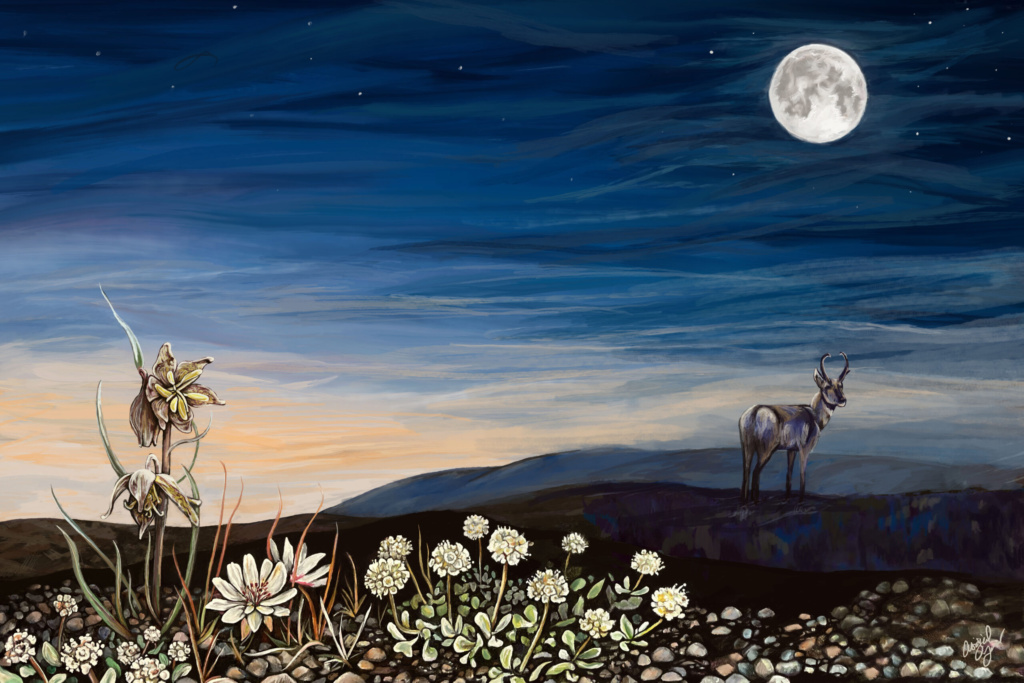 The Shoshone-Bannock Tribes’ Connection to Craters of the Moon • Idaho Capital Sun