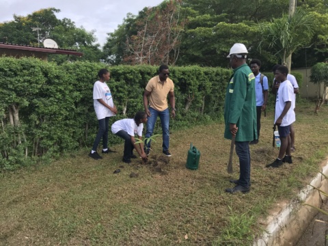 SOS Participates in Tree Planting to Protect the Environment