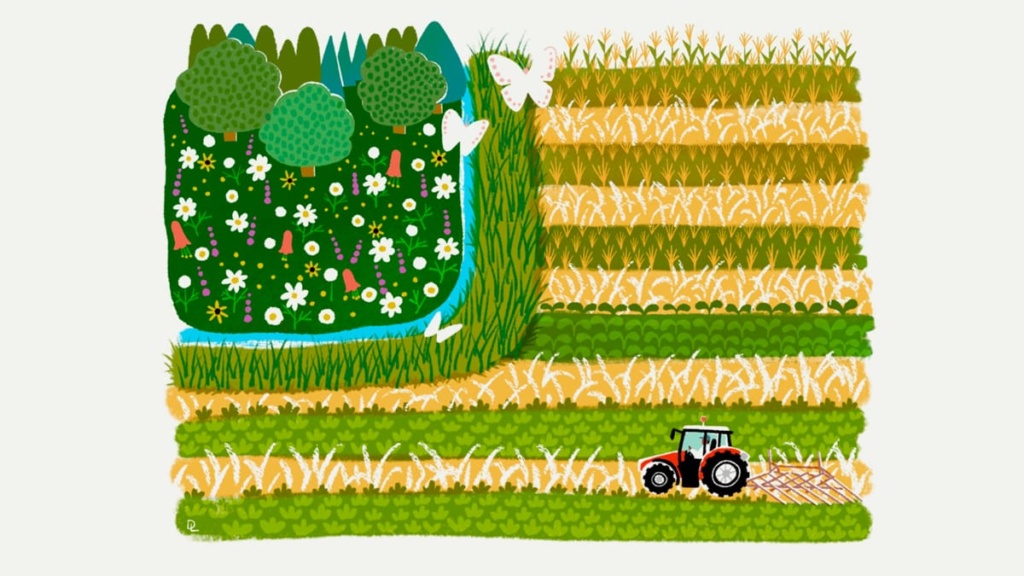 Want farmers to protect the environment? Want farmers to protect the environment?