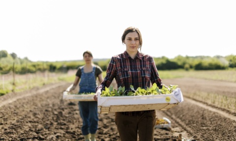 Farm Grants: How to Get Free Money in 2024