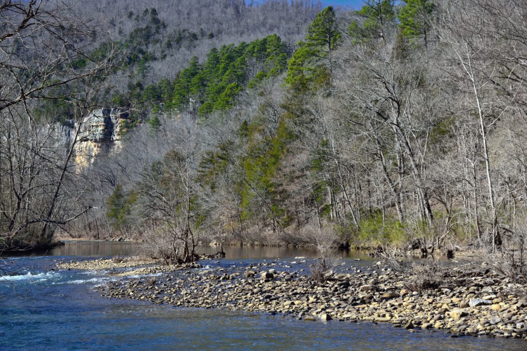 This new partnership is helping the Cherokee Nation preserve plants and culture