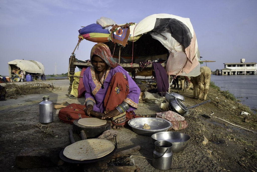 Global food crisis: what you need to know in 2023 Global food crisis: what you need to know in 2023