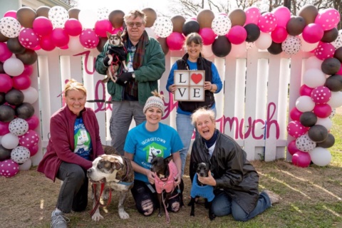 Georgetown Nonprofit Guide: Getting involved, volunteer with local organizations