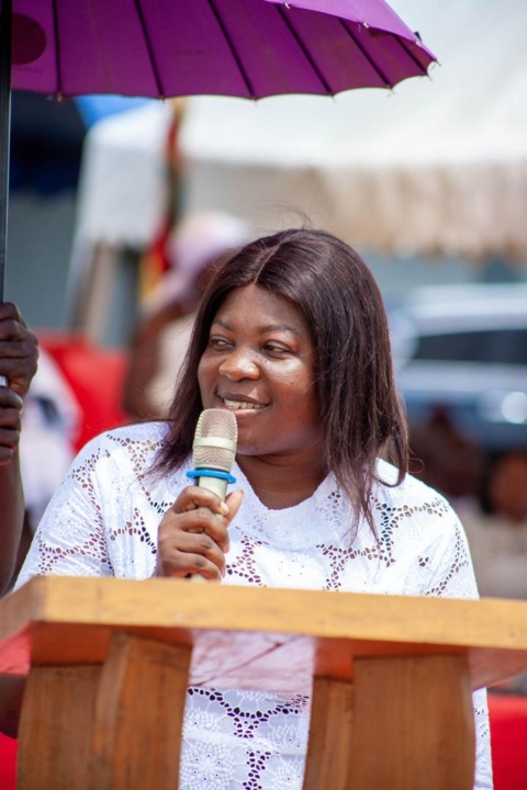 World Environment Day: Government unveils environmental protection strategies to protect environment