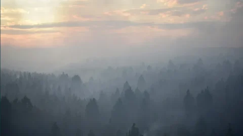 Protecting the environment to death