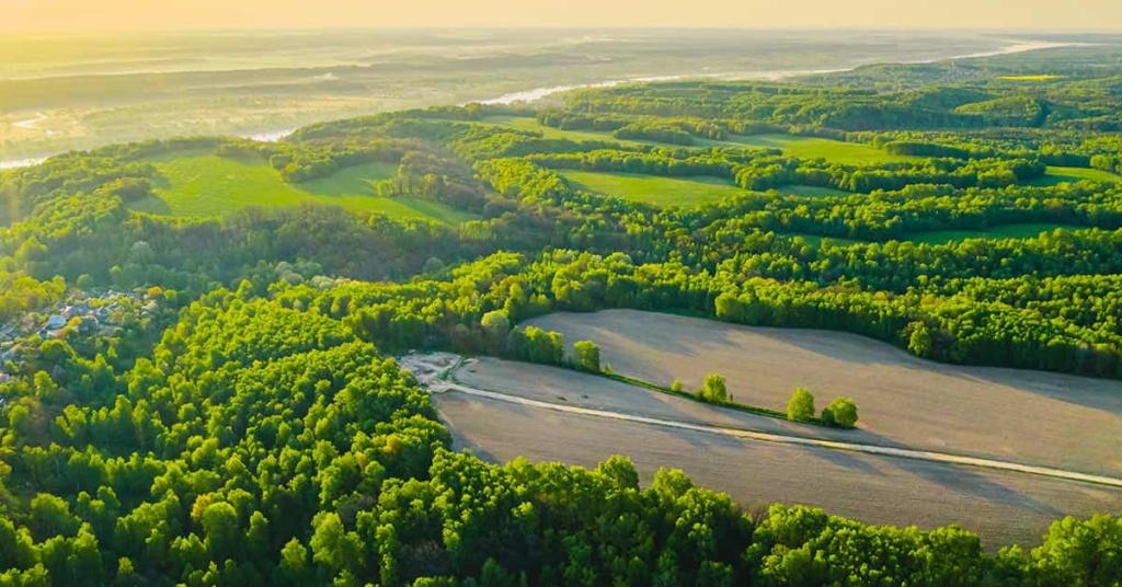 Seven Key Gallup Findings About the Environment on Earth Day Seven Key Gallup Findings About the Environment on Earth Day