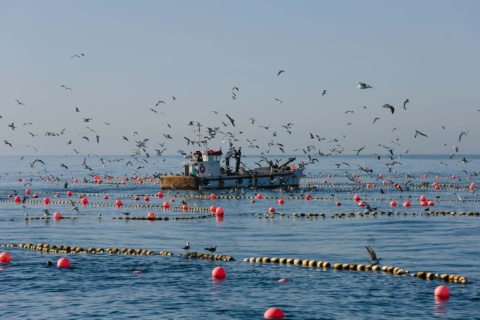 How to become an environmental lawyer in the UK – your guide