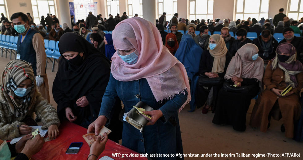 The Japan Institute of International Affairs