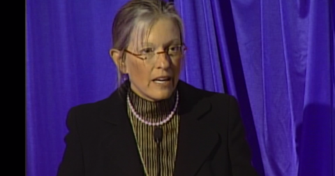 Ann Lurie, the renowned Chicago philanthropist, has died