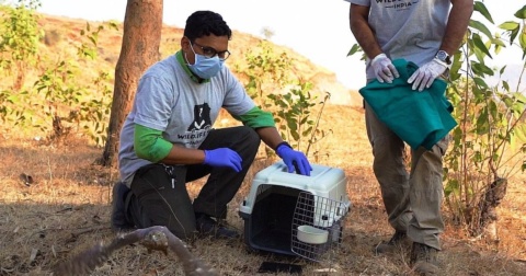 Adapt or perish: NGOs struggle to survive