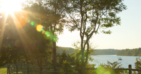 Protect the Environment – Altria