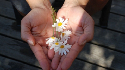 Women-led philanthropy will improve the act of giving