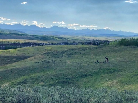 Cochrane council introduces new environmental task force