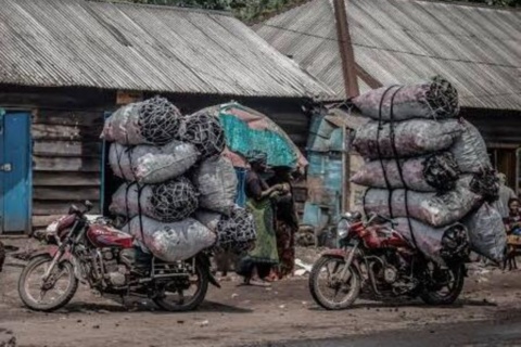 Let’s protect our environment as it will take care of us too