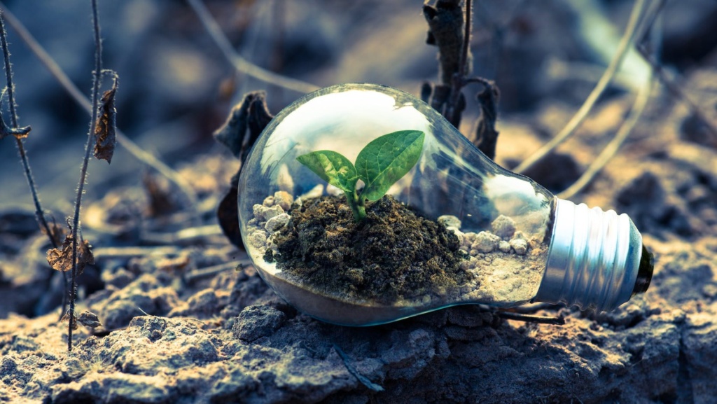 Technology and the environment. Technology and the environment.