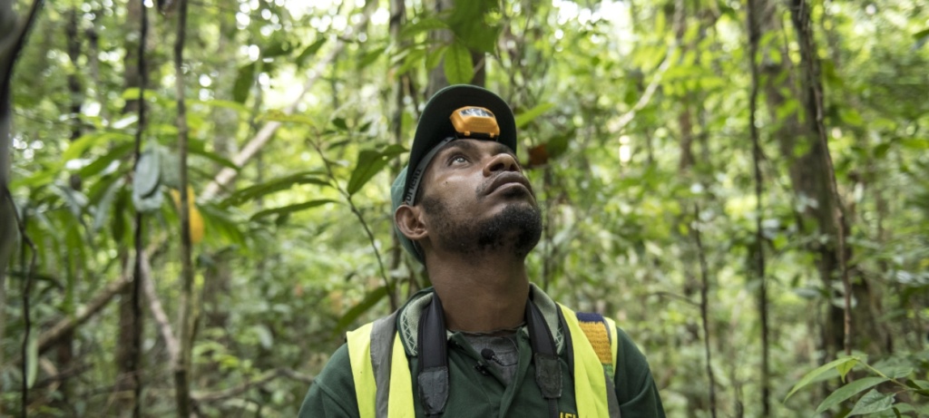 Why do forests matter? | UNEP