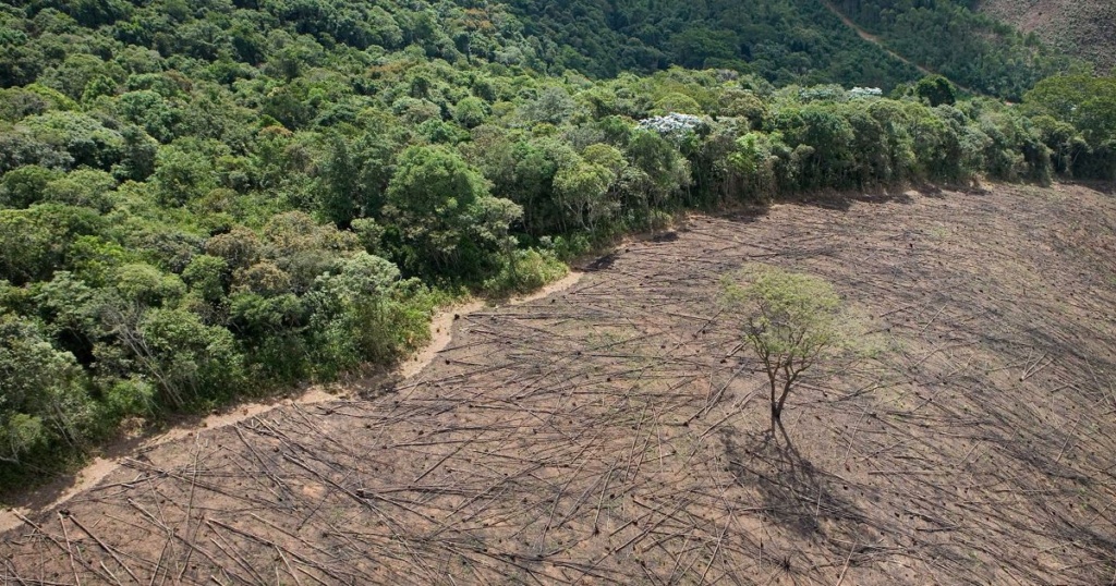 3 Ways Global Leaders Can Save the Planet