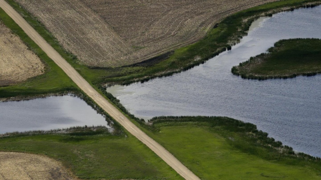 Supreme Court sharply limits federal government’s ability to police pollution into certain wetlands Supreme Court sharply limits federal government’s ability to police pollution into certain wetlands