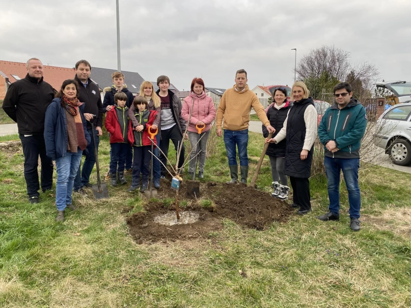 World Environment Day 2024: PIN protects land and World Environment Day 2024: PIN protects land and