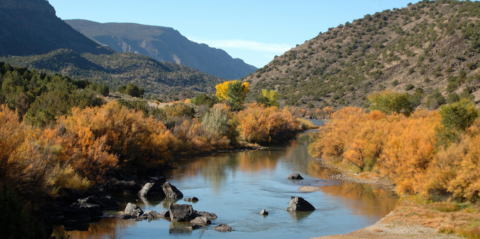 NCEL and Native Americans in Philanthropy Announce Renewal of Partnership