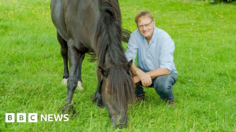 Campaigner to walk 200 miles with a pony from Surrey to Dorset