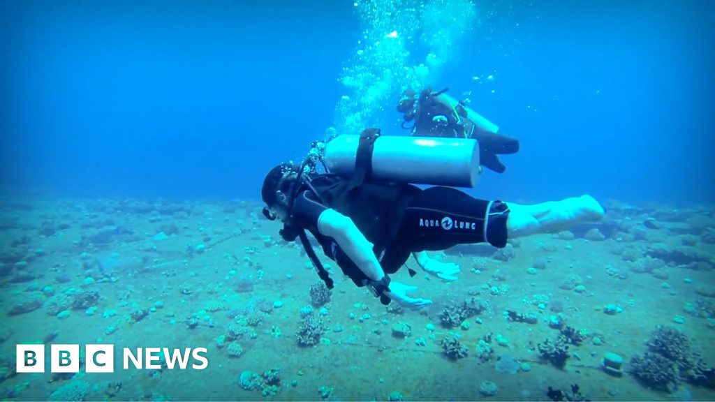 Deptherapy charity helps rehabilitate veterans with scuba-diving Deptherapy charity helps rehabilitate veterans with scuba-diving
