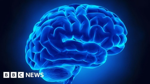 American tech brains choosing Canada