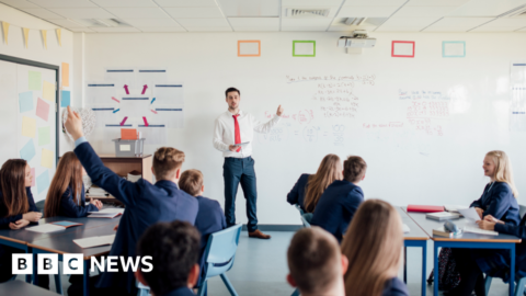 School curriculum terms of review published