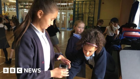 Coming to a school near you? The four-and-a-half-day week