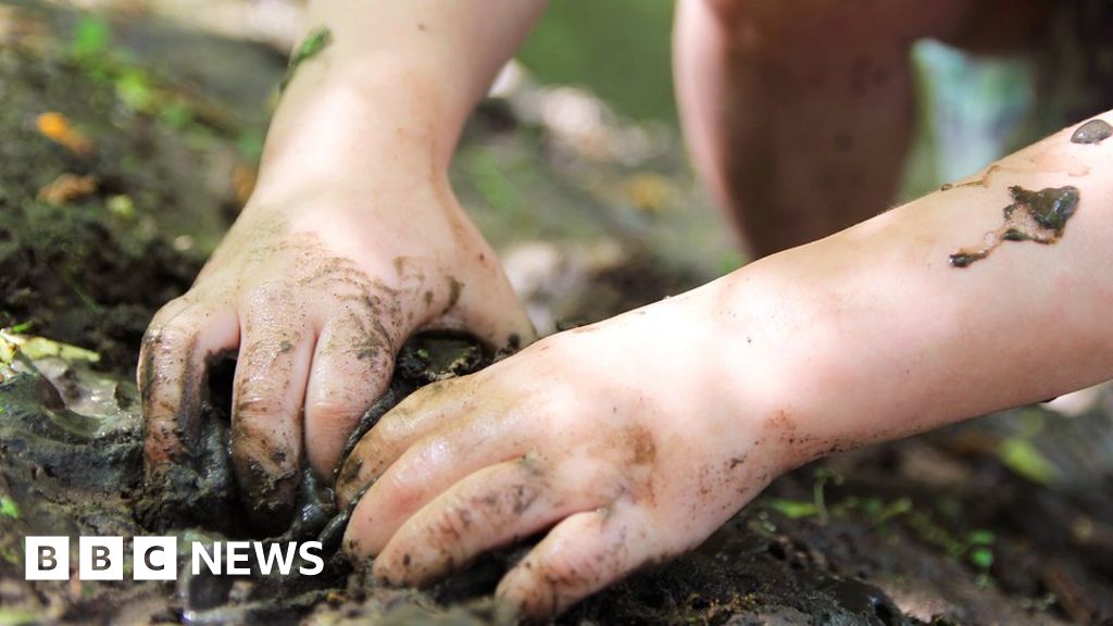 Children ‘not safe’ at Oswestry forest preschool Children ‘not safe’ at Oswestry forest preschool