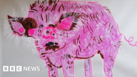 Hull boy, 5, gets artwork in summer show