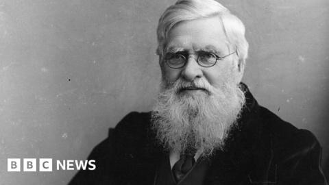 Scientist Alfred Russel Wallace’s medals auctioned