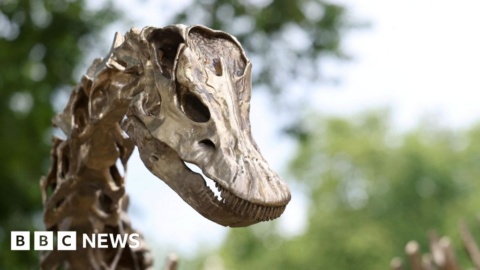 New garden explores origins of life