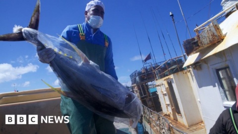 Pacific islands want a bigger share of fishing income