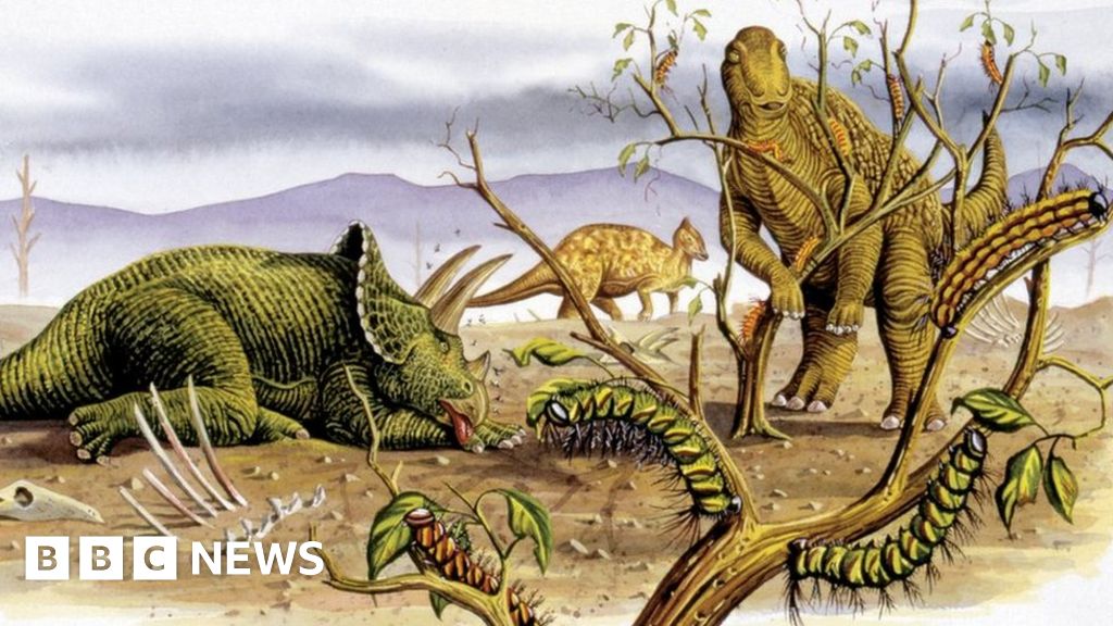 Plant-eating dinosaurs ‘strayed from veggie diet’ Plant-eating dinosaurs ‘strayed from veggie diet’