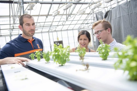 Nurturing trailblazers in agricultural and biological engineering