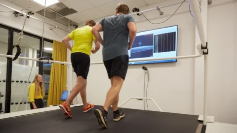 Where multidisciplinary learning meets real-world problem solving