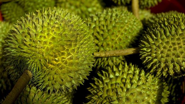 Singapore’s marathon food tour (bring an empty stomach) Singapore’s marathon food tour (bring an empty stomach)