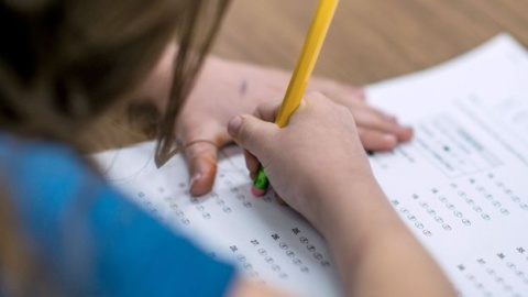 How much is academic achievement shaped by genes?