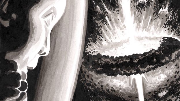 Einstein and his peers were ‘irrationally resistant’ to black holes. This illustrated story explores why Einstein and his peers were ‘irrationally resistant’ to black holes. This illustrated story explores why