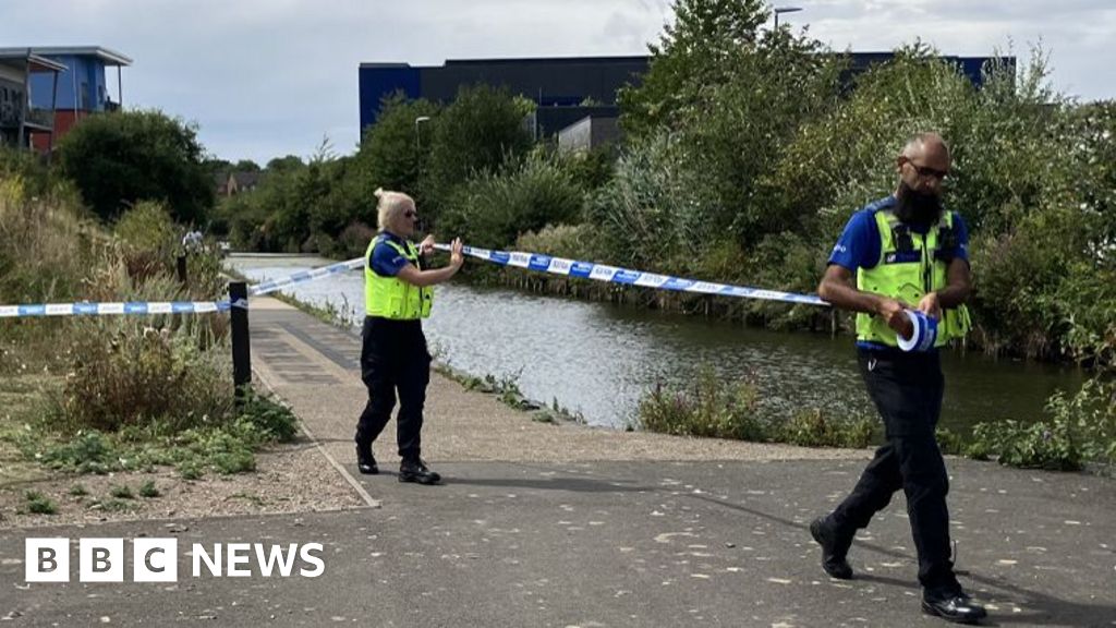 Chemical incident caused Walsall canal sodium cyanide spill, firm says Chemical incident caused Walsall canal sodium cyanide spill, firm says